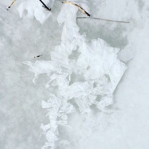 Meet your Posher, Lydia